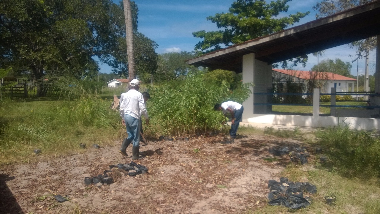 Foto da galeria